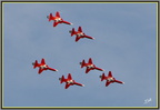 Avions Patrouille suisse 2