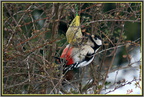 Pic-Epeche 3 - (1696 visites) Pic-Epeche 3