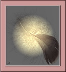 Plume lune 1 - (1666 visites) Plume lune 1