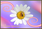 Bonne semaine 3