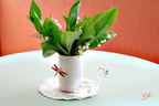 Muguet3
