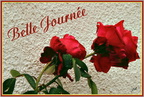Roses rouges 0 - (1887 visites) Roses rouges 0
