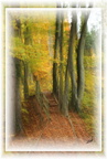 Tableau flou 2 - (2608 visites) Tableau flou 2
