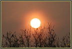 Lever soleil 10 avril - (2191 visites) Lever soleil 10 avril
